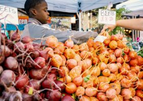 Die Rolle von Bio-Gemüse in Deutschland: Wie Bio-Gemüse den Markt verändert und warum es immer gefragter wird